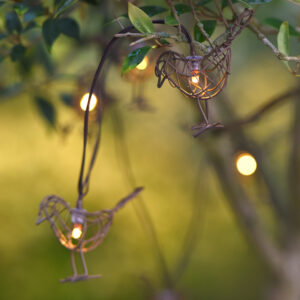 Robin Fairy Lights