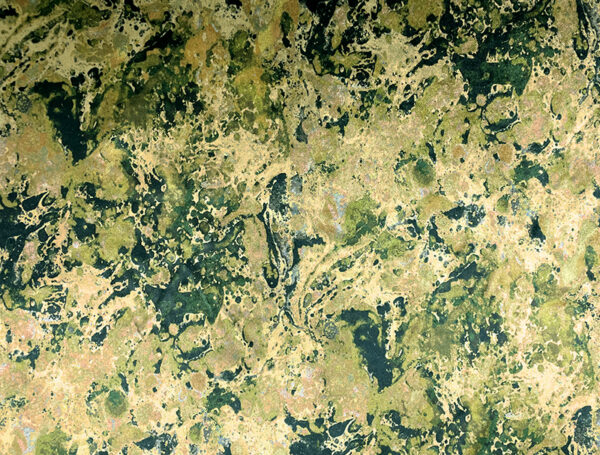 Utopia Faberge Ortensia Chartreuse